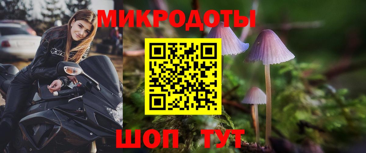 Санкт-Петербург  купить наркоту  Вход с VPN  Галлюциногенные грибы Psilocybine cubensis 