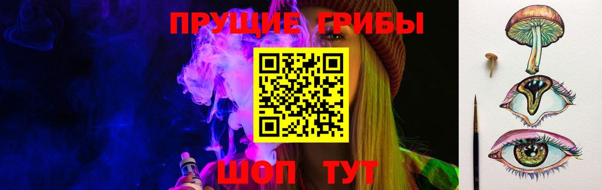 Псилоцибиновые грибы GOLDEN TEACHER Санкт-Петербург